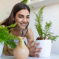 Benefícios das Plantas nos Ambientes