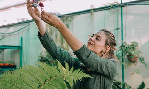 Jardins Sustentáveis: Como Transformar seu Ambiente