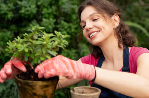 Transformando Seu Jardim sem Agredir o Meio Ambiente