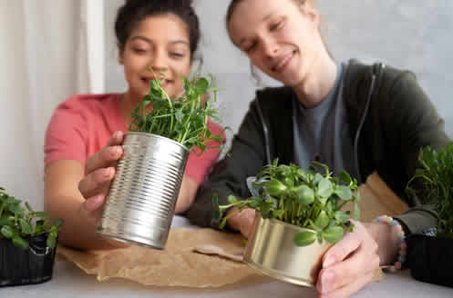 Como Adotar Práticas Ecológicas no Dia a Dia