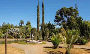 Jardim Botânico de Brasília