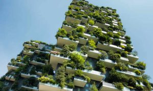 O Papel da Arquitetura Verde na Sustentabilidade