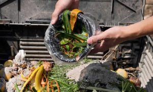 Como a Compostagem Pode Ajudar a Reduzir o Desperdício de Alimentos