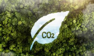 O que é o Certificado Carbono Zero e Como Você Pode Alcançá-lo